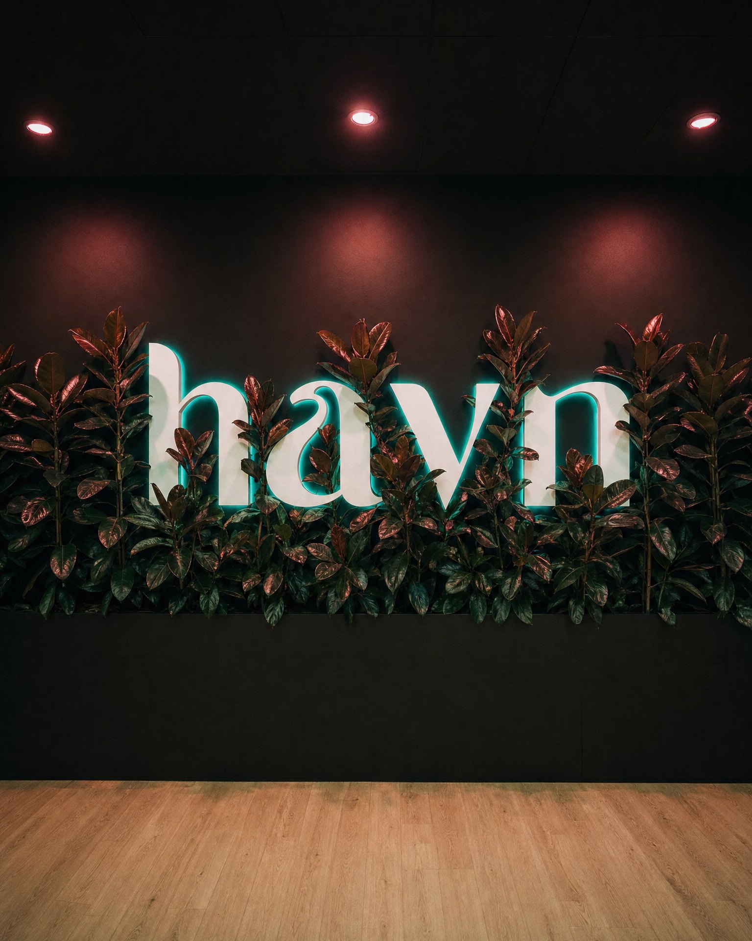 White havn letters glowing teal from behind, set into a wall of rubber trees on a black wall